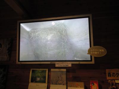 CA396788.jpg