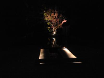CA396803.jpg