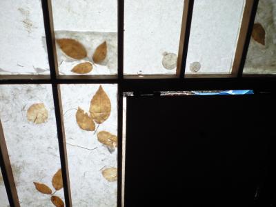 CA396843.jpg