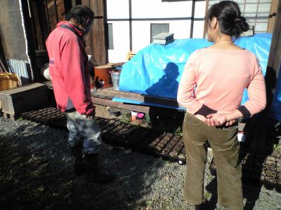 CA396849.jpg