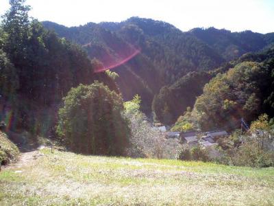 CA396925.jpg