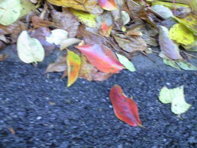 CA396927.jpg