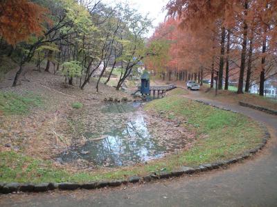 CA396996.jpg