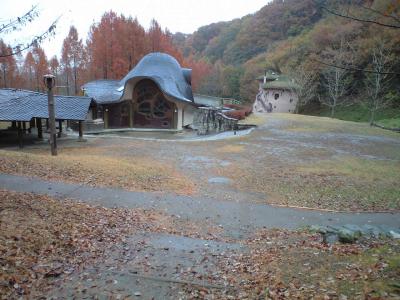 CA397004.jpg
