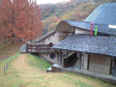 CA397006.jpg