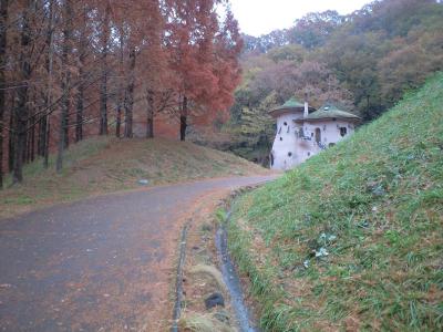 CA397007.jpg