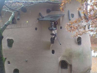 CA397026.jpg