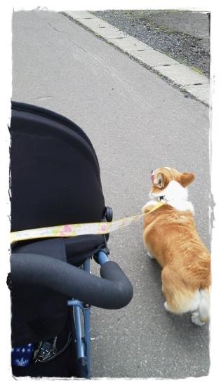 2012062311250000.jpg