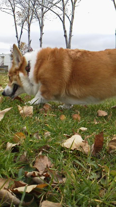 2012111009570000.jpg