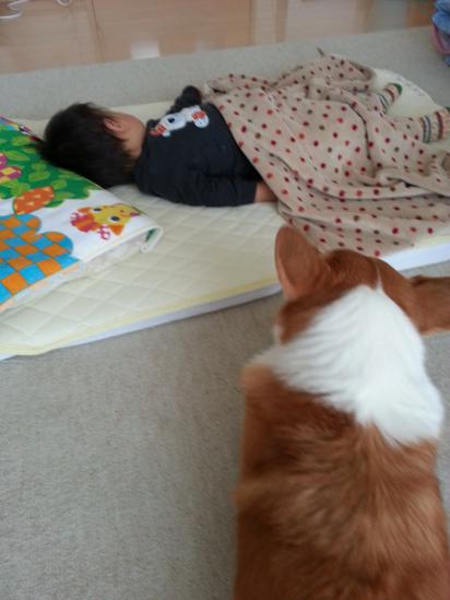 20130112_134957.jpg