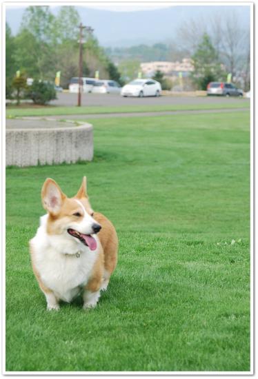 DSC_4318.jpg