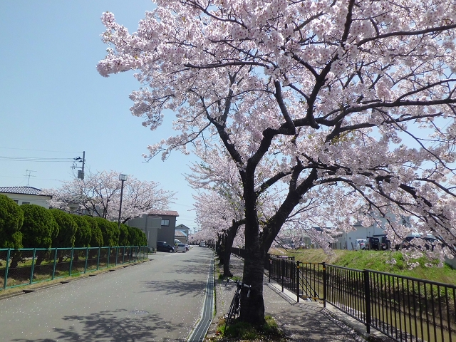 三角公園付近02