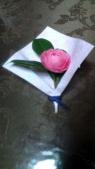 椿の花