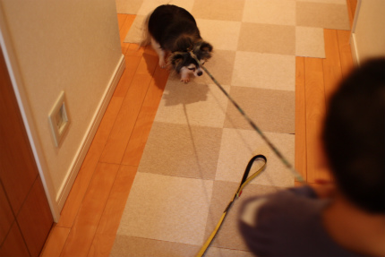 IMG_3464_20120521232419.jpg