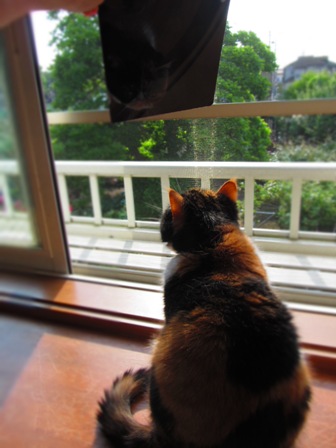 20120521017.jpg
