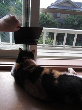 20120521034.jpg
