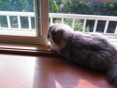 20120521055.jpg