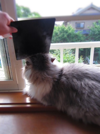 20120521058.jpg