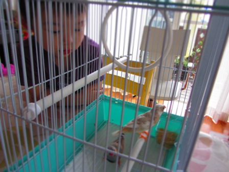 20120605018.jpg