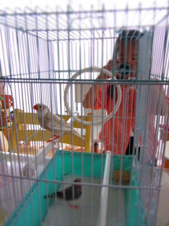 20120605020.jpg