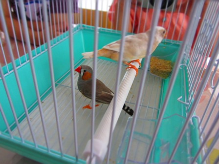 20120605023.jpg