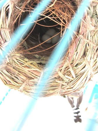 20120614029.jpg