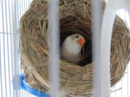 20120614033.jpg