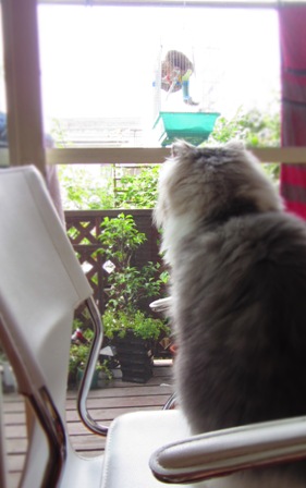 20120614061.jpg