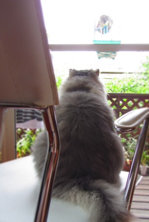 20120614066.jpg