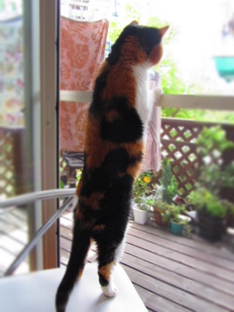20120614070.jpg