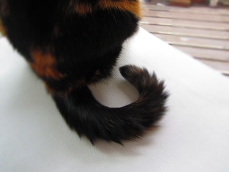 20120614075.jpg