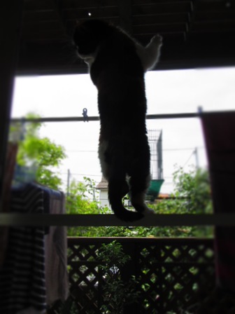 20120614076.jpg