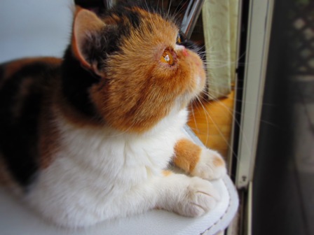 20120614082.jpg