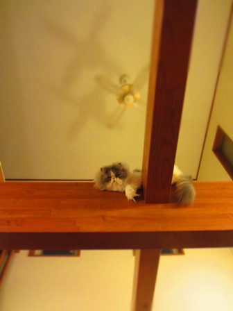 20120628057.jpg