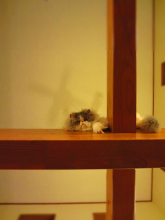 20120628059.jpg