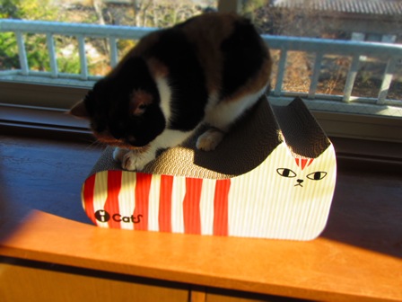 20121225053.jpg