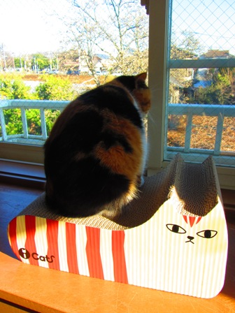 20121225054.jpg