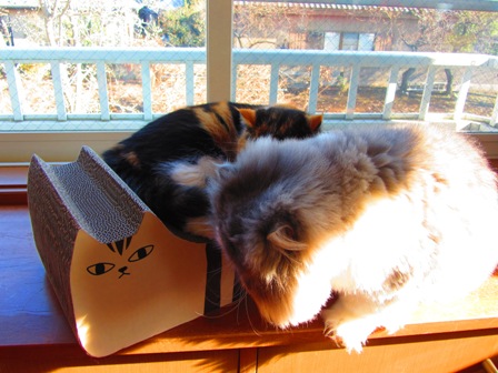 20121225065.jpg