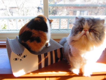 20121225068.jpg