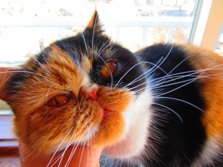 20121225075.jpg