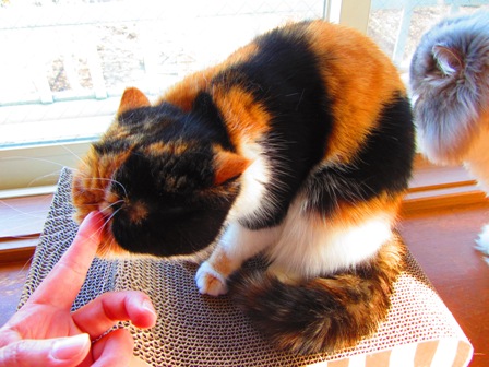 20121225076.jpg