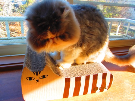 20121225080.jpg