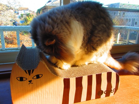 20121225082.jpg