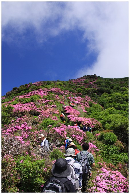 平治岳