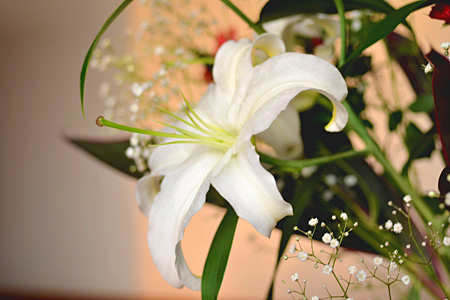 20120508_03.jpg
