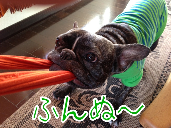 ヒートテック