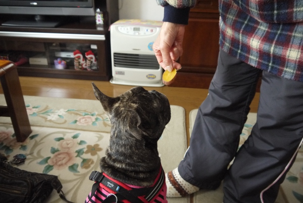 20130303_02.jpg