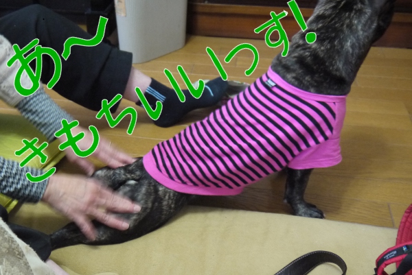 20130303_03.jpg