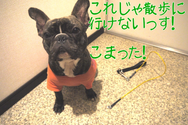 壊れたリード