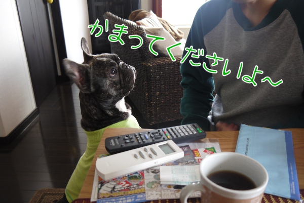 朝襲撃中